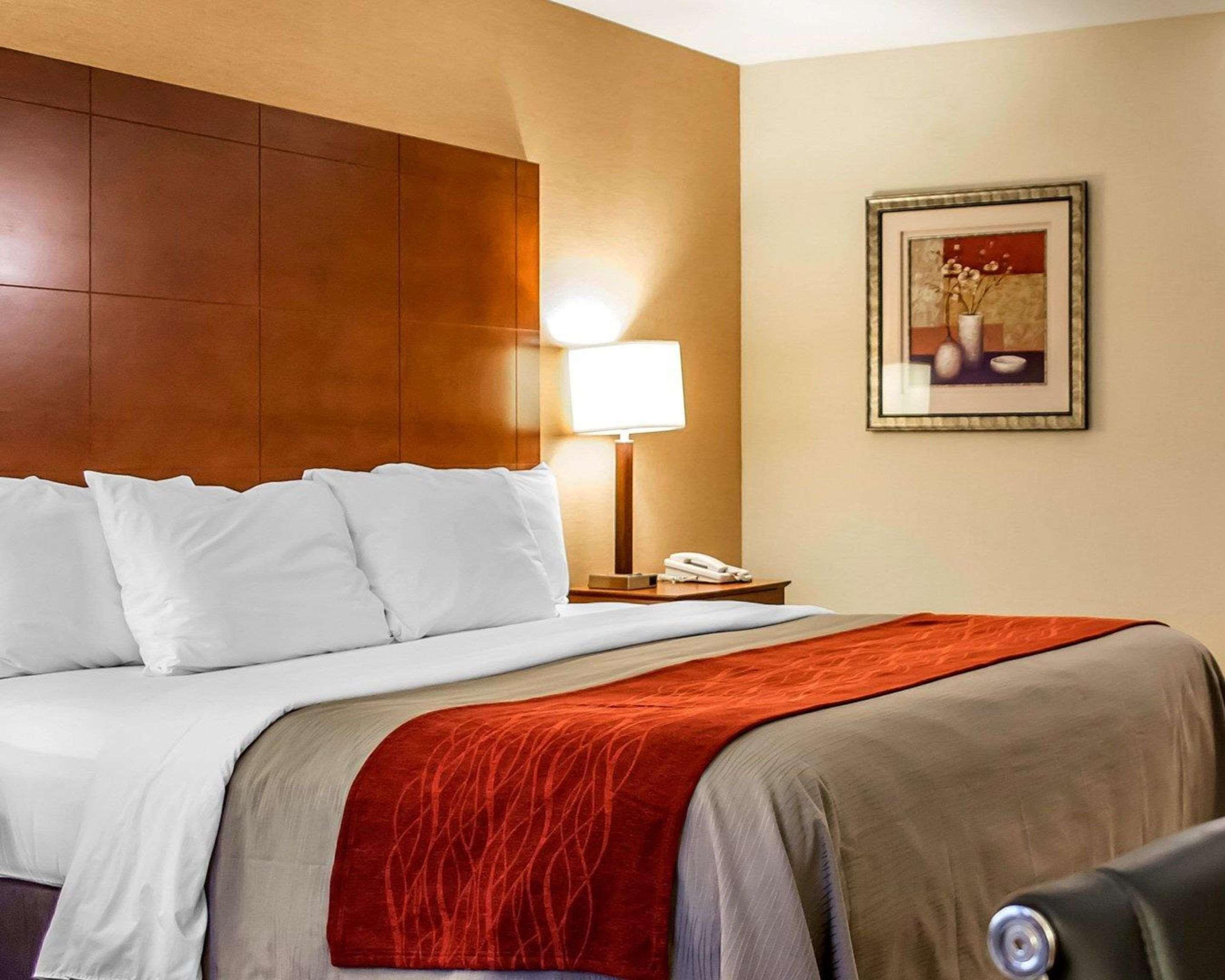 Comfort Inn & Suites Franklin East Esterno foto